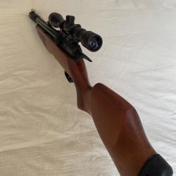 Gamo riser punisher