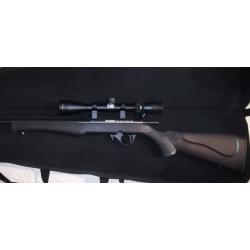 carabine rossi 8122
