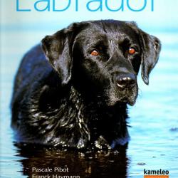 labrador de pascale pibot et franck haymann