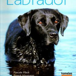 labrador de pascale pibot et franck haymann + livre offert