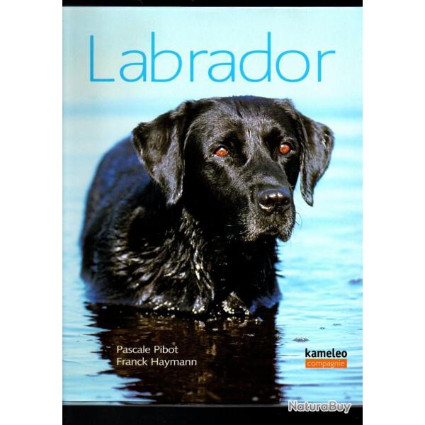 labrador de pascale pibot et franck haymann + livre offert