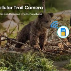 Caméra 4G + carte SIM caméra OFFERTE ! +  Panneau solaire offre sans abonnement  ! Pub