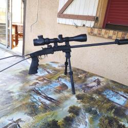 Carabine Chiappa Littlebadger 22lr