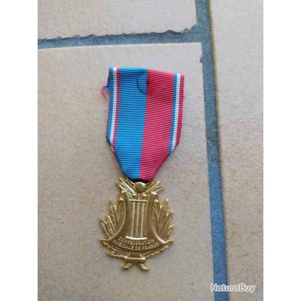 MEDAILLE CONFEDERATION MUSICAL DE FRANCE   COULEUR OR