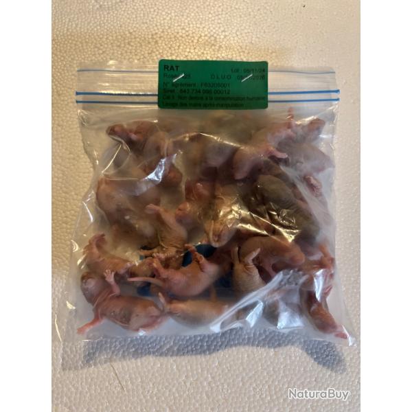 Rats ross 4/10g X 25