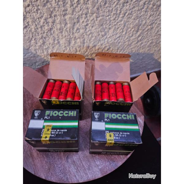 Cartouches Fiocchi PL1 calibre 20/65 pb9