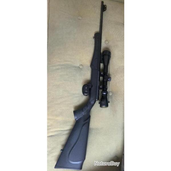 Carabine Rossi 17 hmr
