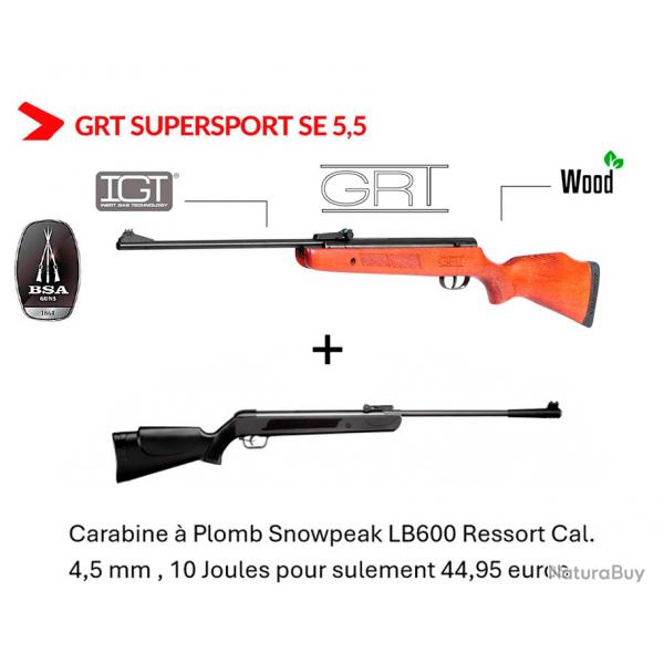 Vente flash ! Carabine  plomb BSA SUPERSPORT SE GRT 5.5 mm - 19.9J + Carabine Snowpeak LB600 4,5 mm