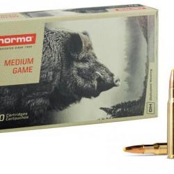 NORMA cal.30-06 Sprg Platic Point 180 grains - 11.7 grammes X20