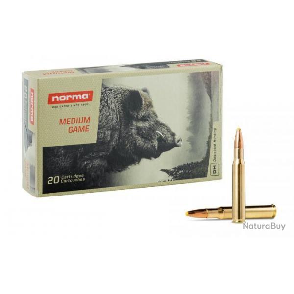 NORMA cal.30-06 Sprg Platic Point 180 grains - 11.7 grammes X20