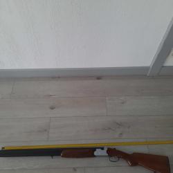 fusil de chasse