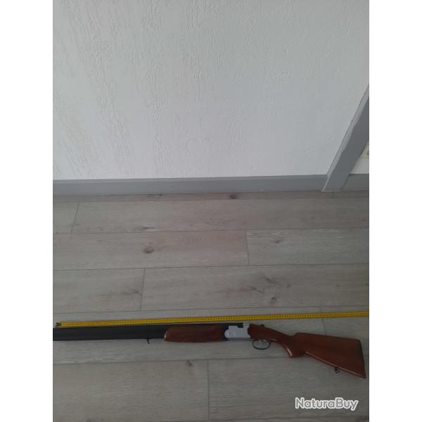 fusil de chasse
