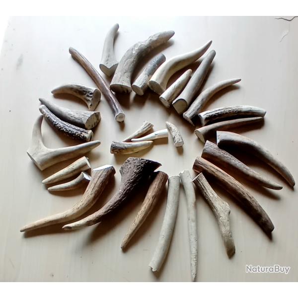 Bois de cerf naturel  morceaux