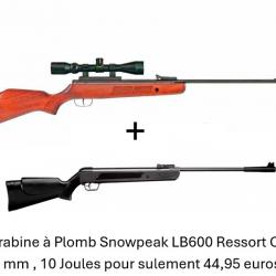 Vente flash ! Carabine BSA SUPERSPORT SE GRT 5.5 mm 19.9J + Lunette 3-9 x 40 + Carabine LB600 4,5mm