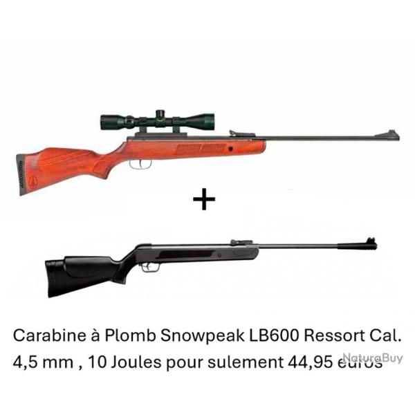 Vente flash ! Carabine BSA SUPERSPORT SE GRT 5.5 mm 19.9J + Lunette 3-9 x 40 + Carabine LB600 4,5mm