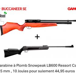 Vente flash ! Carabine à plomb PCP BSA BUCCANNER SE Cal. 4.5 mm - 19.9J + Carabine LB600 Cal. 4,5 mm