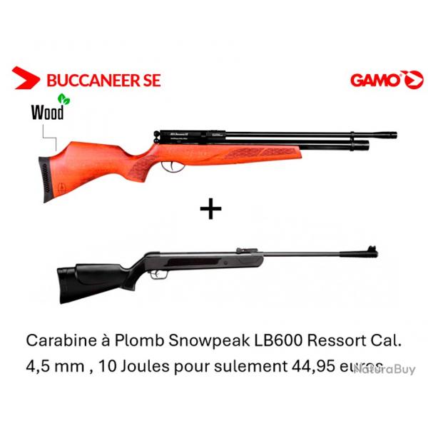 Vente flash ! Carabine  plomb PCP BSA BUCCANNER SE Cal. 4.5 mm - 19.9J + Carabine LB600 Cal. 4,5 mm