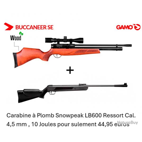 Vente flash ! Carabine PCP BSA BUCCANNER SE 4.5 mm 19.9J + Lunette 3-9 x 40WR + Carabine LB600 4,5mm