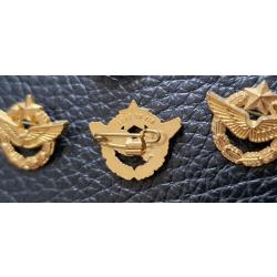 Badge épinglette insigne  armée de l Air FRANCE