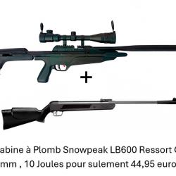 Carabine SL900S Snowpeak + 4-16x40AO Canon Fixe Cal. 5,5 mm 19,9 joul. + carabine Snow. LB600 4,5 mm
