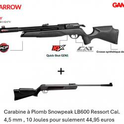 PACK COMBINÉ ! PACK1A Carabine PCP Arrow Gamo  Cal. 5,5 mm + Carabine Snowpeak LB600 Cal. 4,5 mm