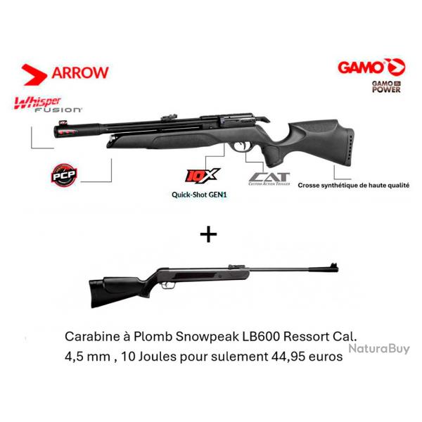 PACK COMBIN ! PACK1A Carabine PCP Arrow Gamo  Cal. 5,5 mm + Carabine Snowpeak LB600 Cal. 4,5 mm