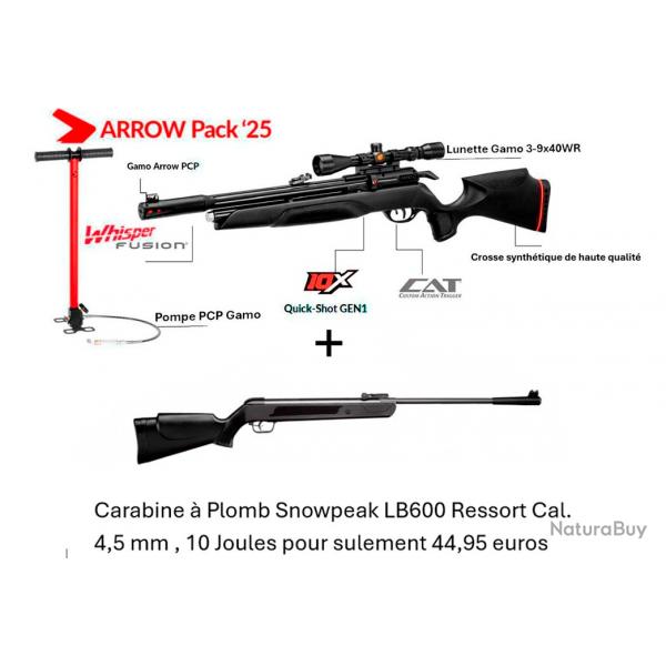 PACK COMBIN ! Carabine Arrow Gamo 4,5 mm + Pompe pcp + Lunette + Carabine Snowpeak LB600 C. 4,5 mm