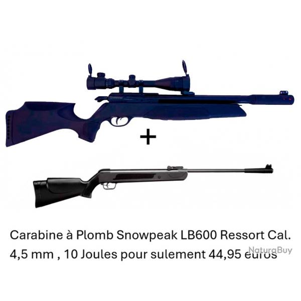 PACK COMBIN ! Carabine Arrow Gamo + 4-16 x 40AO  Cal. 5,5 mm + Carabine Snowpeak LB600 Cal. 4,5 mm