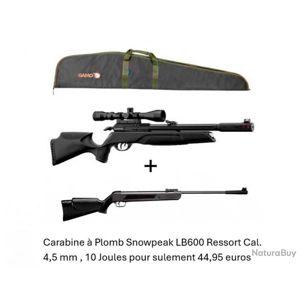 PACK COMBIN ! PACK A Carabine Arrow Gamo  Cal. 4,5 mm + Carabine Snowpeak LB600 Cal. 4,5 mm