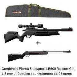 PACK COMBINÉ ! PACK B Carabine Arrow Gamo  Cal. 5,5 mm + Carabine Snowpeak LB600 Cal. 4,5 mm
