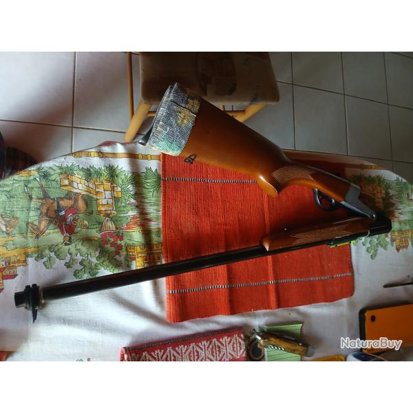Monocoup,Canna Cromata