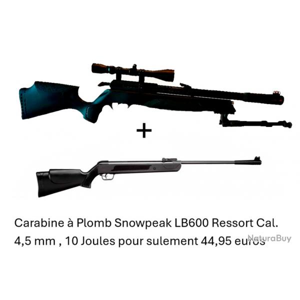 PACK COMBIN ! PACKB2 Carabine Arrow Gamo  Cal. 5,5 mm + Carabine Snowpeak LB600 Cal. 4,5 mm