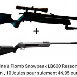 PACK COMBINÉ ! PACKB2 Carabine Arrow Gamo  Cal. 4,5 mm + Carabine Snowpeak LB600 Cal. 4,5 mm