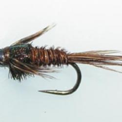NYMPH TUNG. PTT05 H12 BL
