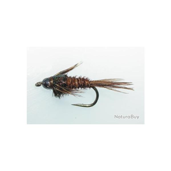 NYMPH TUNG. PTT05 H12 BL