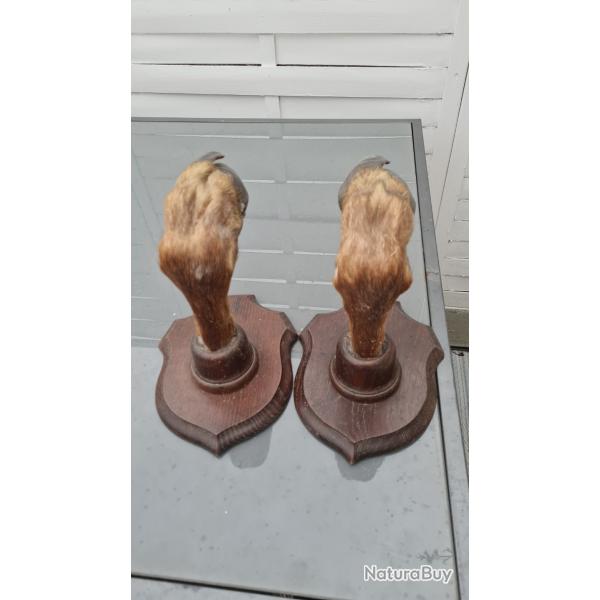 Supports pieds de chevreuil  2