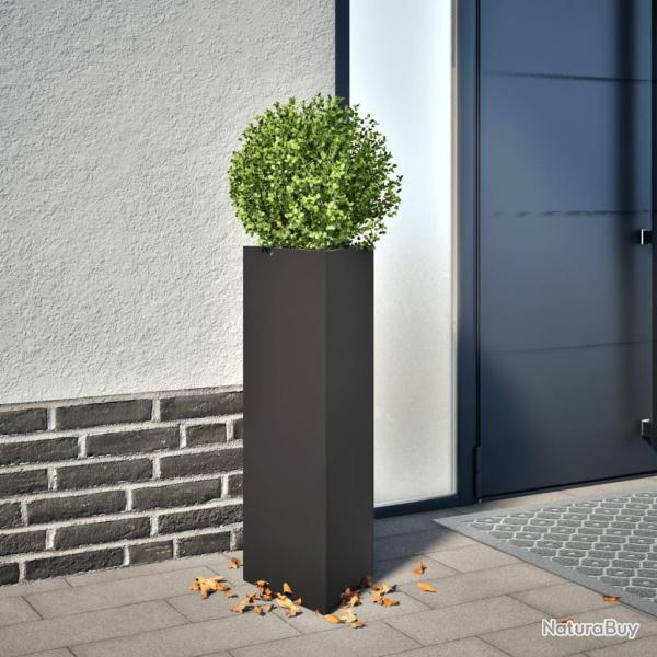 Jardinire noir triangulaire 30x26x75 cm acier
