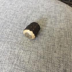 boule de culasse blaser cerf 4