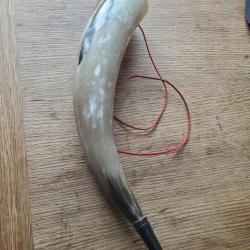 Corne d'appel,pour la chasse ou déco