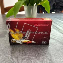 Boîte de balle 7x64 162gr