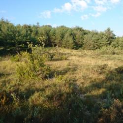 VOYAGE DE CHASSE PERDRIX ROUGES