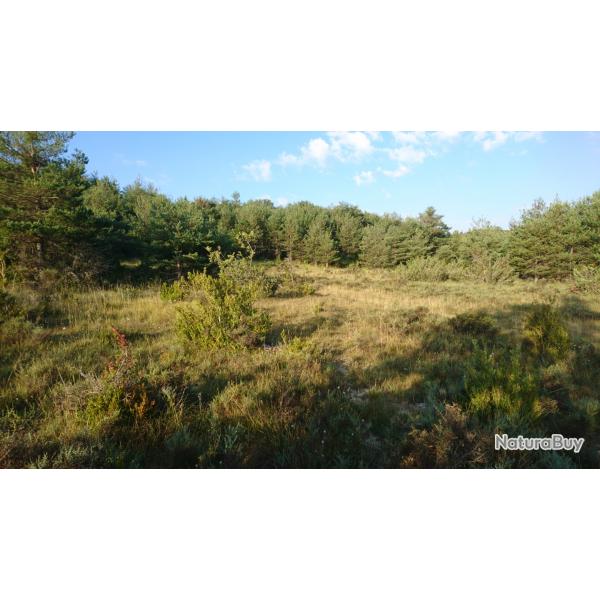 VOYAGE DE CHASSE PERDRIX ROUGES