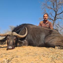 GRANDE CHASSE AFRIQUE DU SUD QUALITE /PRIX EXCEPTIONNELLE