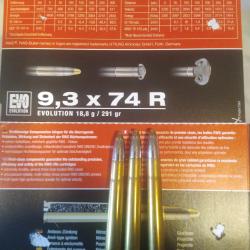 Boîte de 20 balles RWS Cal 9.3/74R Évolution 18.8g 290 grains