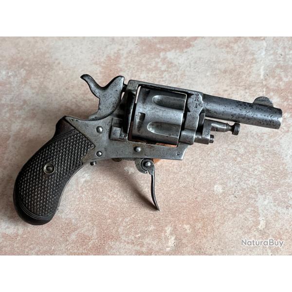 Revolver Bulldog 1