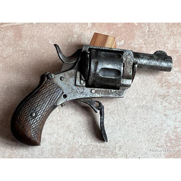 Revolver Bulldog 5