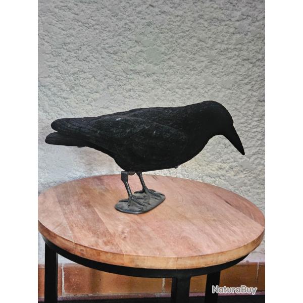 Appelant Corbeau lectronique