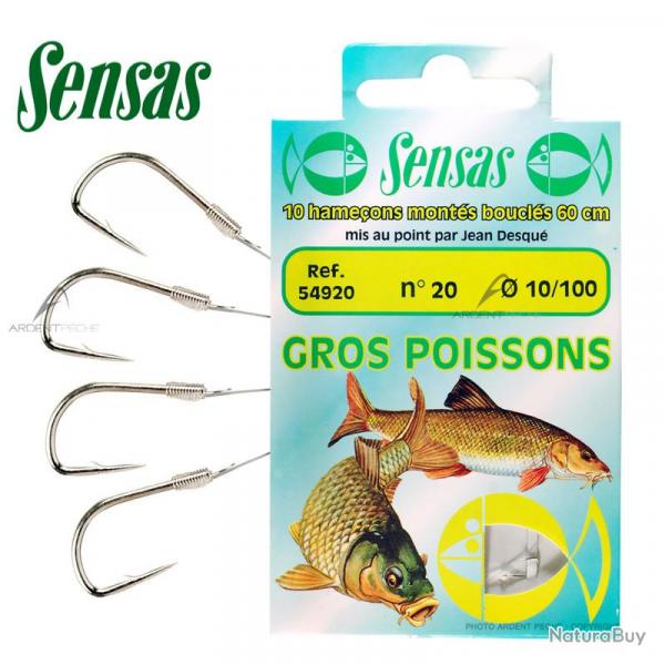 Hameon coup SENSAS Monts Gros poissons H20  0.10mm