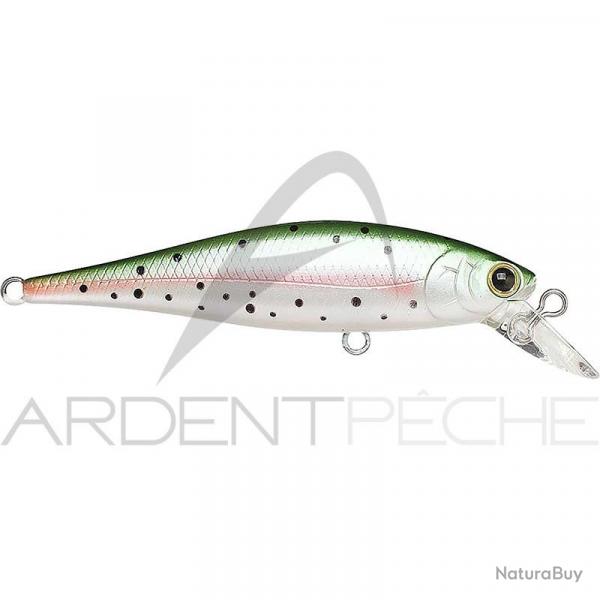 Poisson nageur LUCKY CRAFT B Freeze Pointer 65 SP Rainbow trout