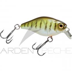 Poisson nageur ILLEX Chubby 38 Vairon
